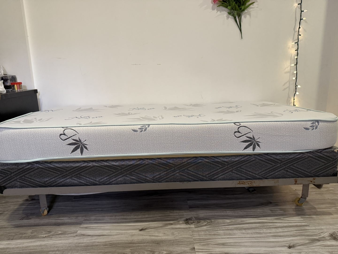 Twin Mattress and Box Spring Set - Aloe Vera