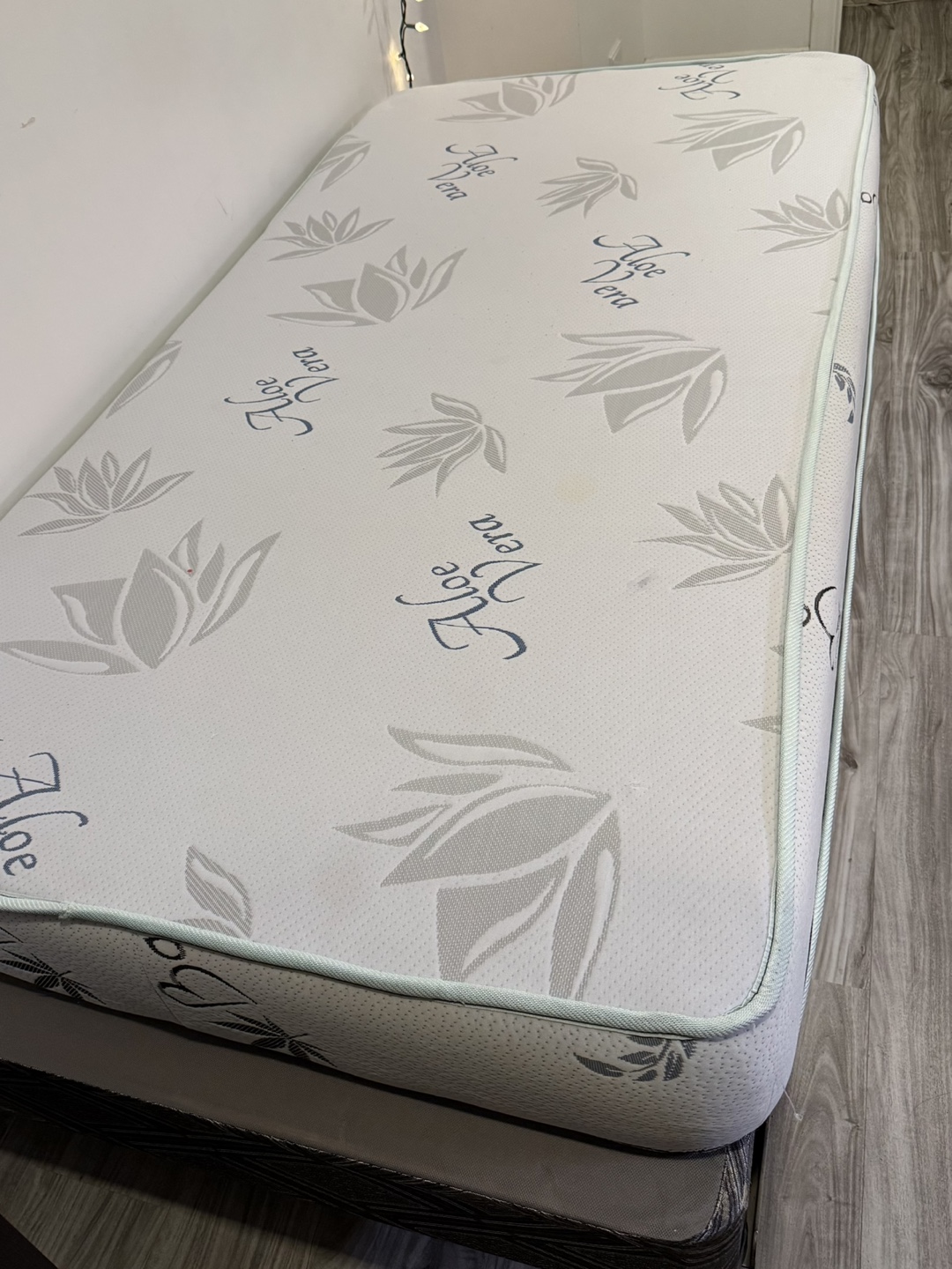 Twin Mattress and Box Spring Set - Aloe Vera - photo 3
