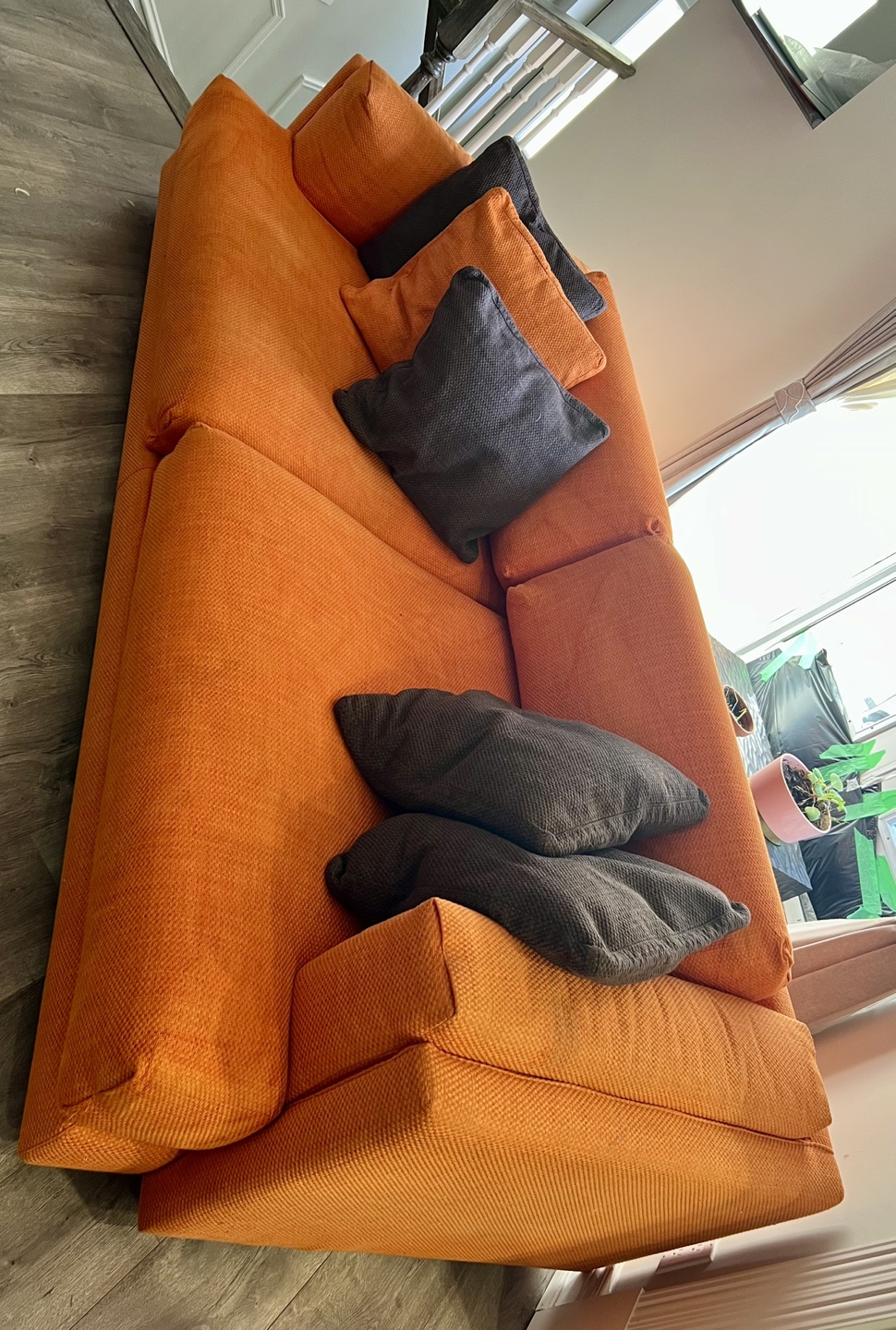 Orange Sofa - Modern Design (Living Divani) - photo 2