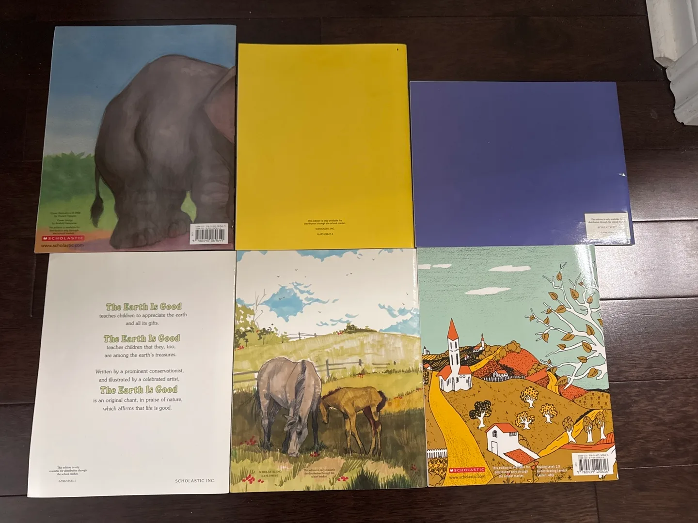 Bundle of 6 Scholastic Books image indicator(2)