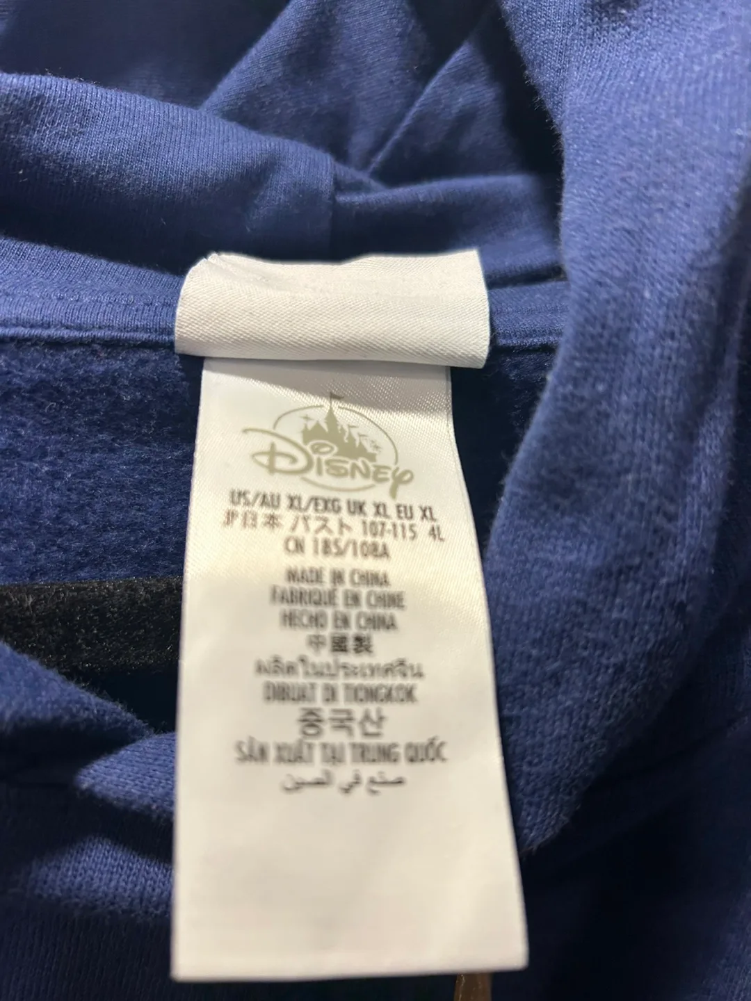 Walt Disney World Hoodie image indicator(2)