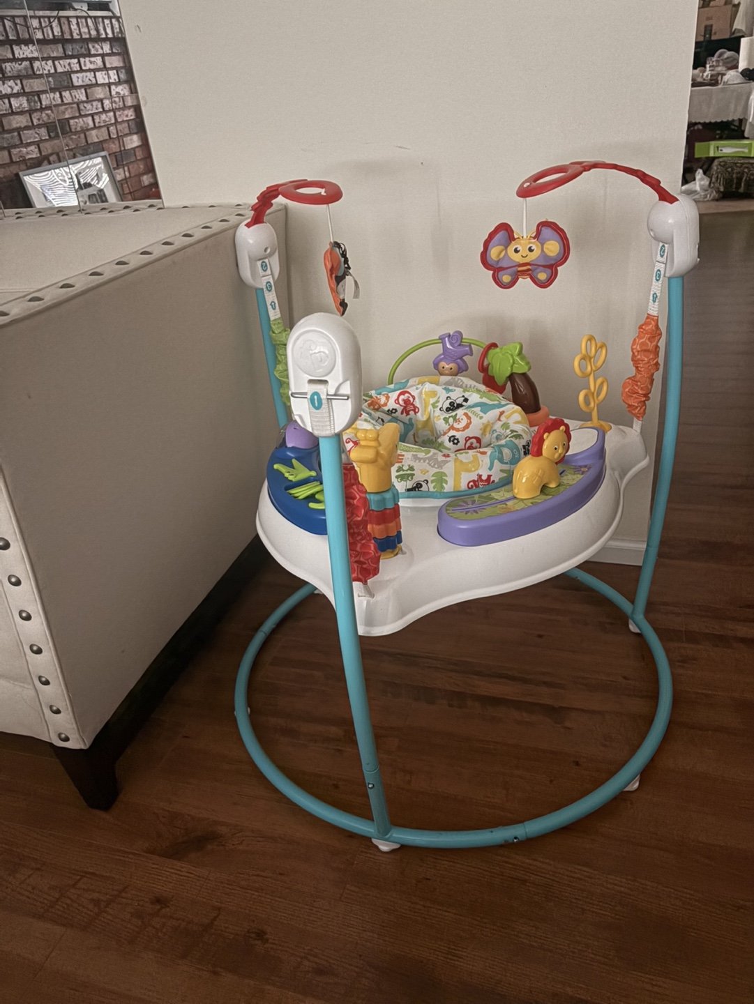 Baby Jumperoo - Gently Used