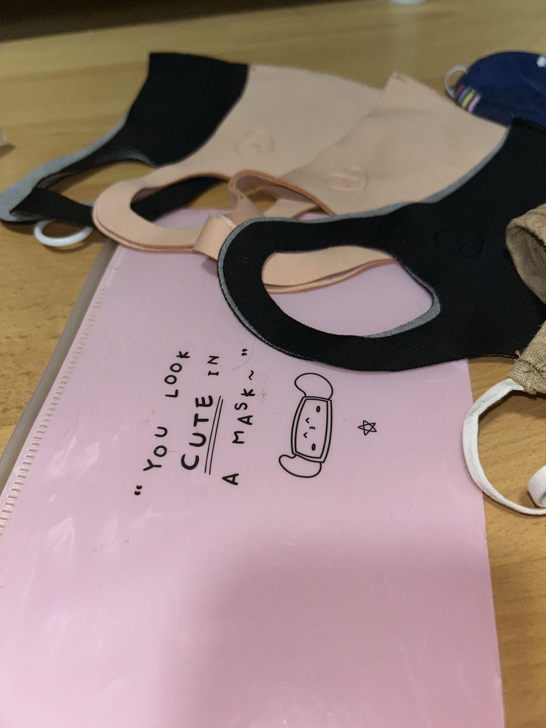 Aritzia Face Masks + Mask Case