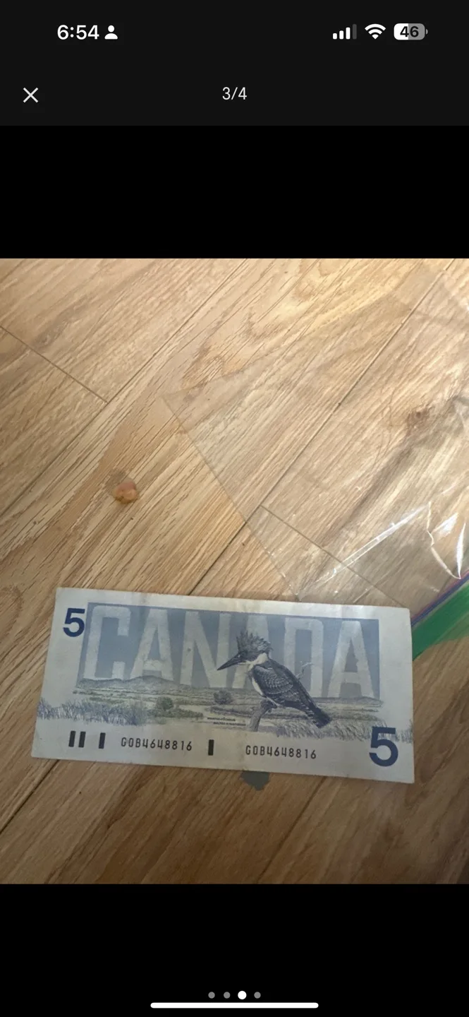 Canadian money image indicator(2)