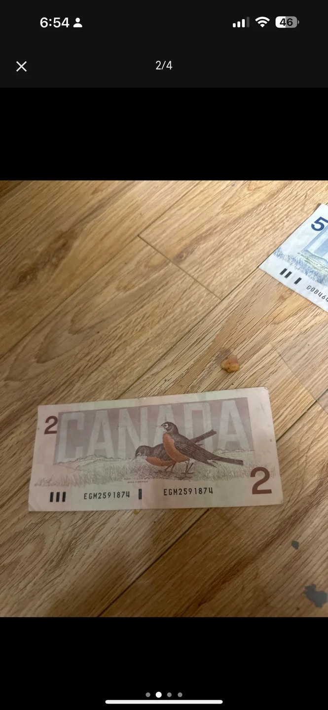 Canadian money image indicator(3)