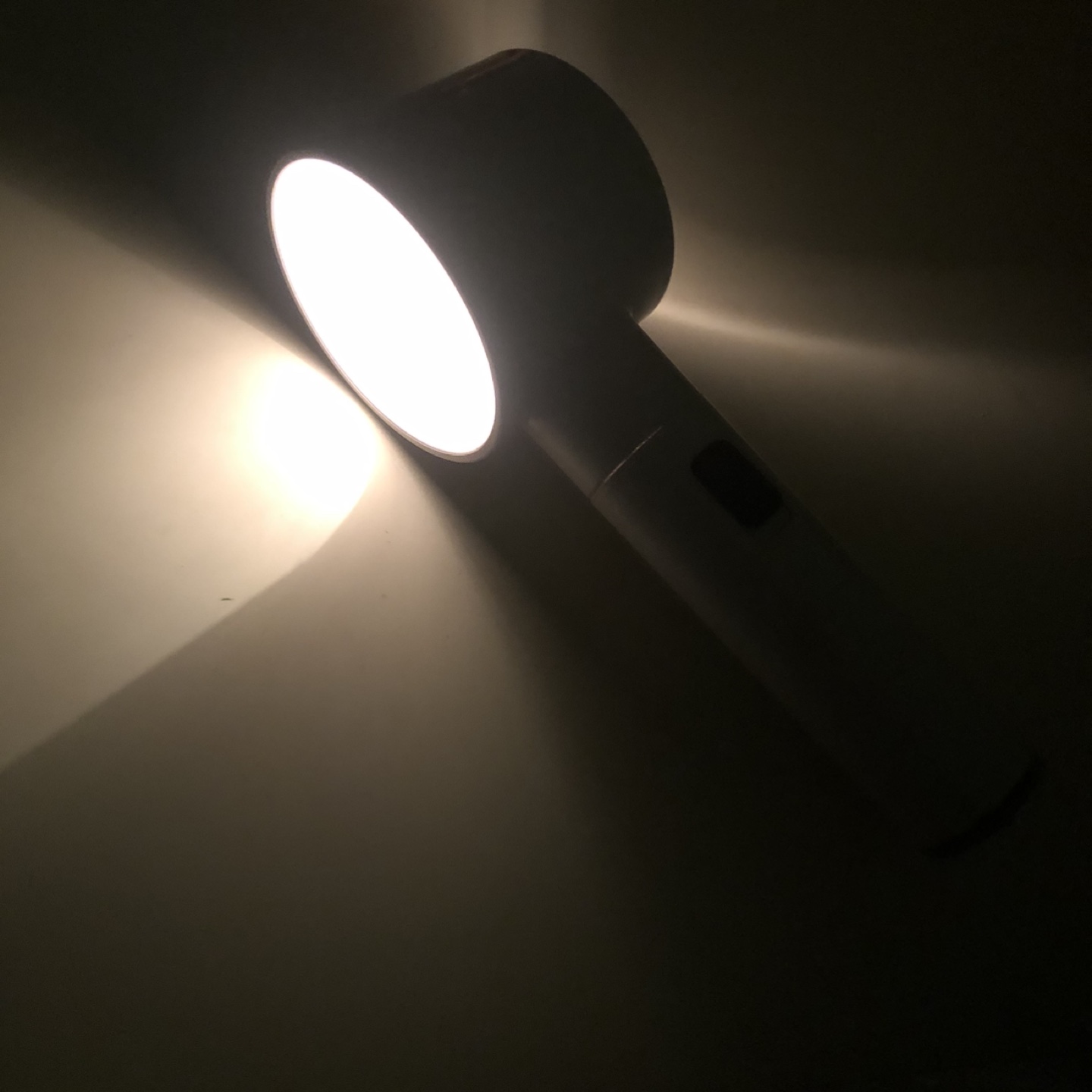 Portable LED Magnifying Glass with Light
