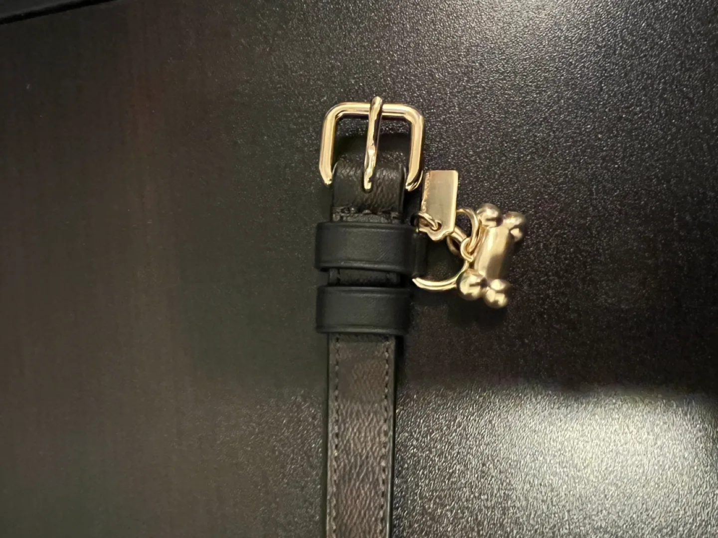 Coach Small Pet Collar – Gold/Brown Black image indicator(4)