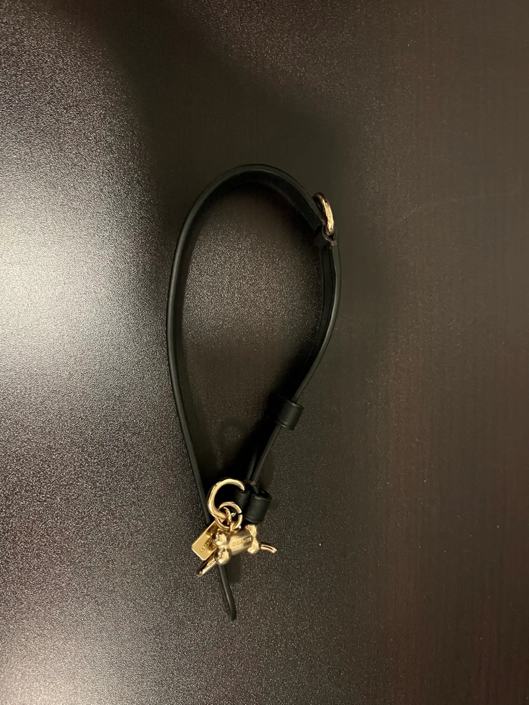 Coach Small Pet Collar – Gold/Brown Black image indicator(3)