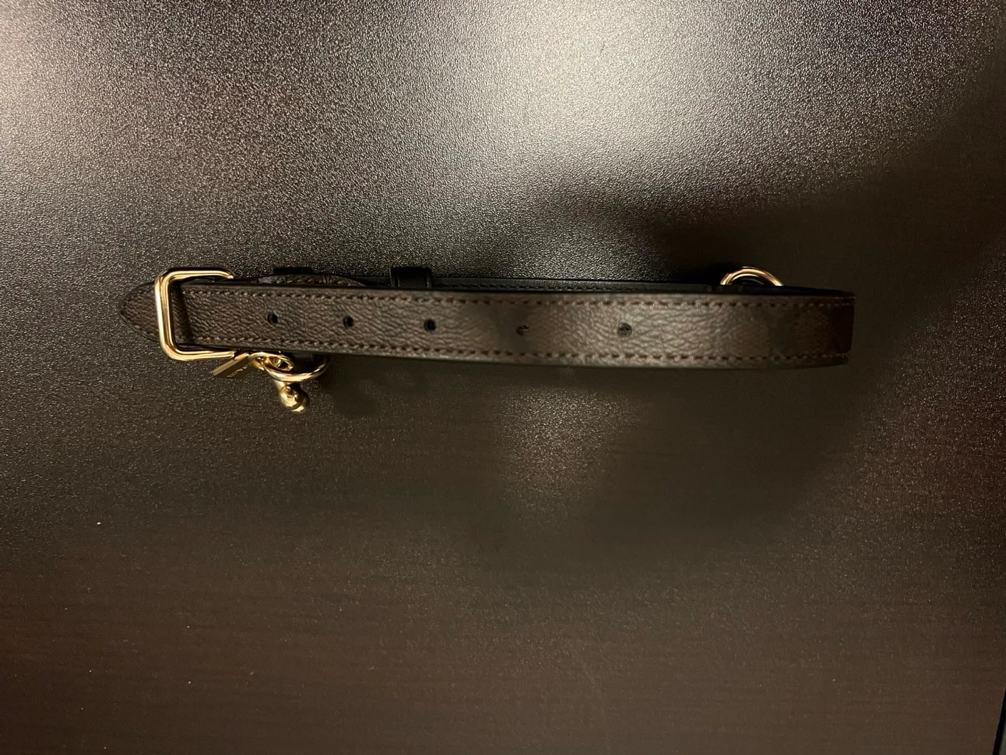 Coach Small Pet Collar – Gold/Brown Black image indicator(2)