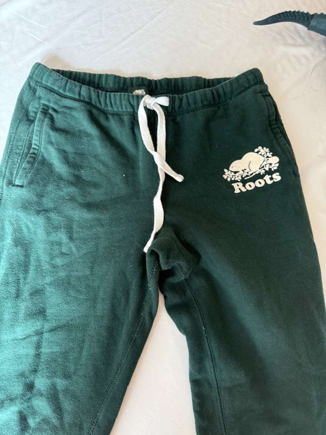 Roots women’s medium Green Joggers image indicator(2)