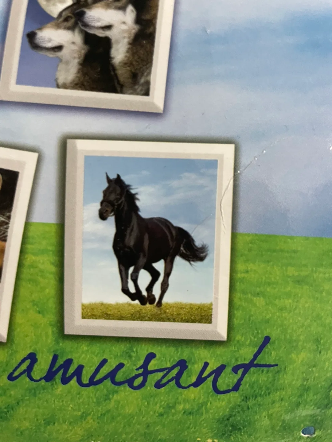 Black Horse Fleece Throw Blanket image indicator(2)