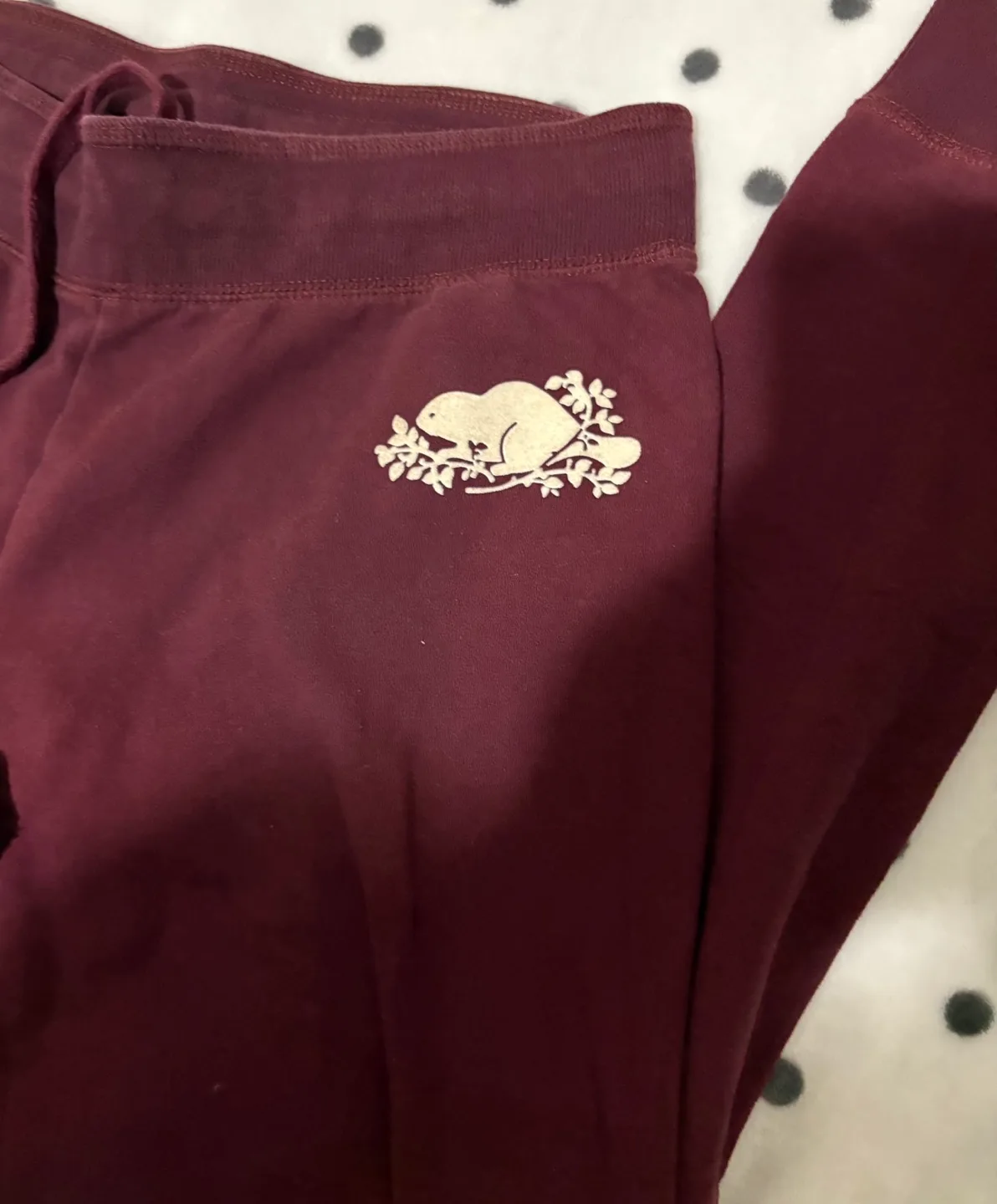 Roots Burgundy Women's Joggers - Size M image indicator(3)