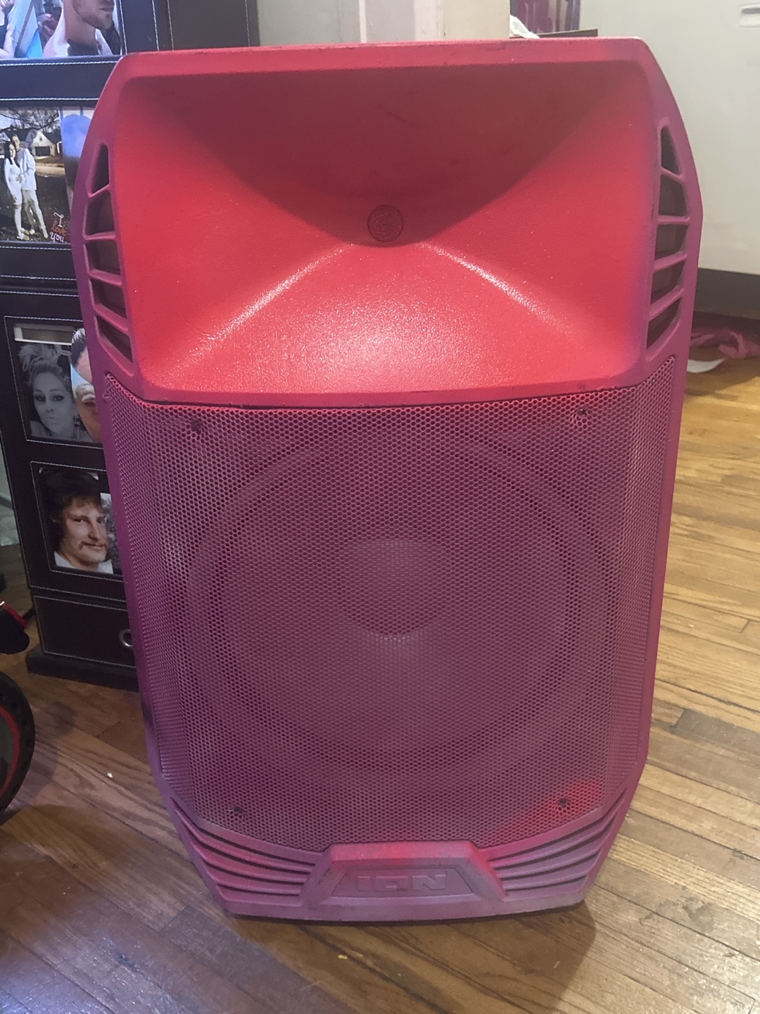 ION Audio Party Speaker - Pink