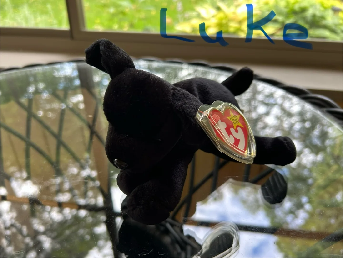 Ty Beanie Babies:  Dragon, Bison, Unicorn, Pug, and Husky image indicator(9)