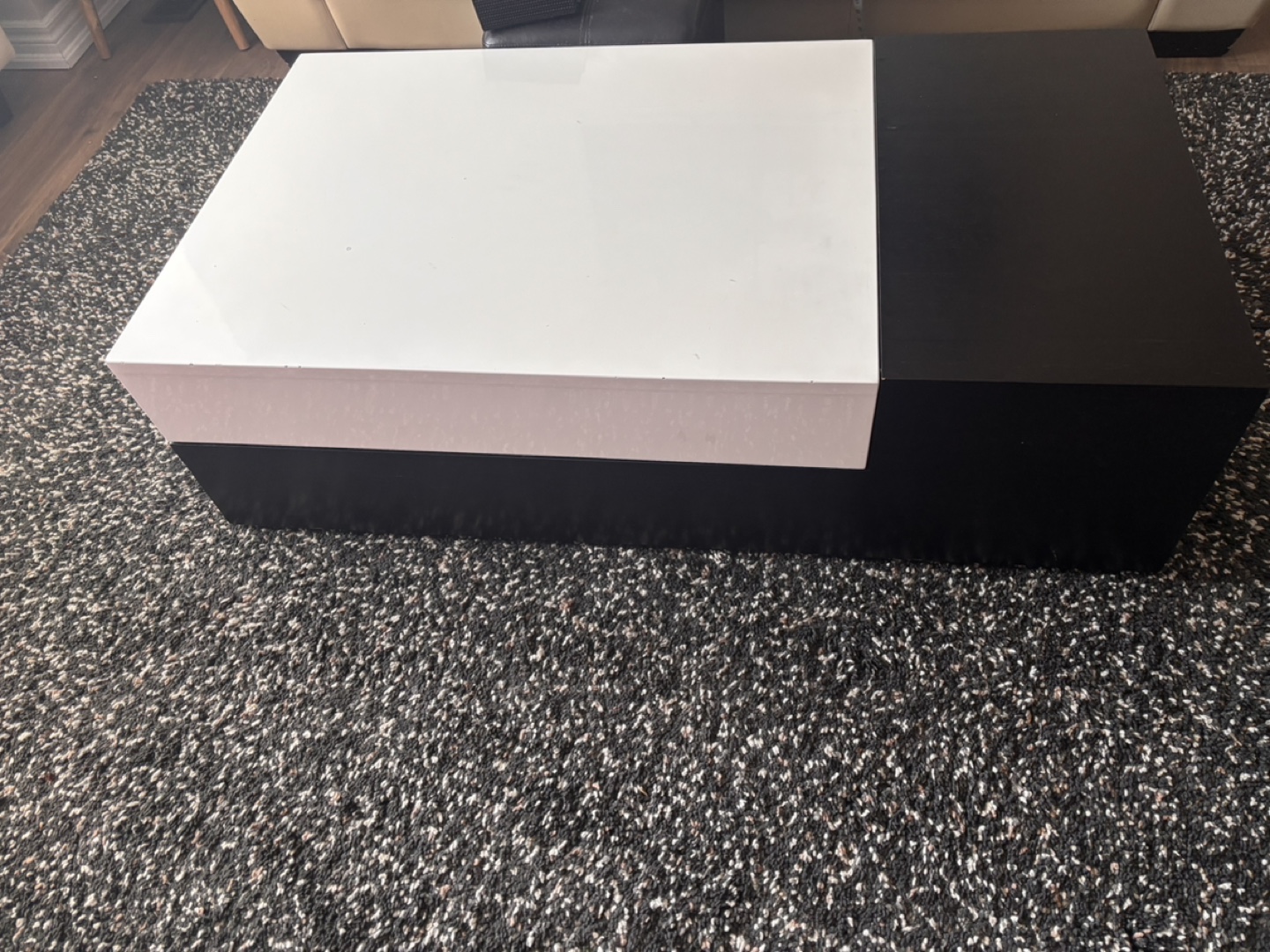 Modern Black and White Coffee Table with Storage
