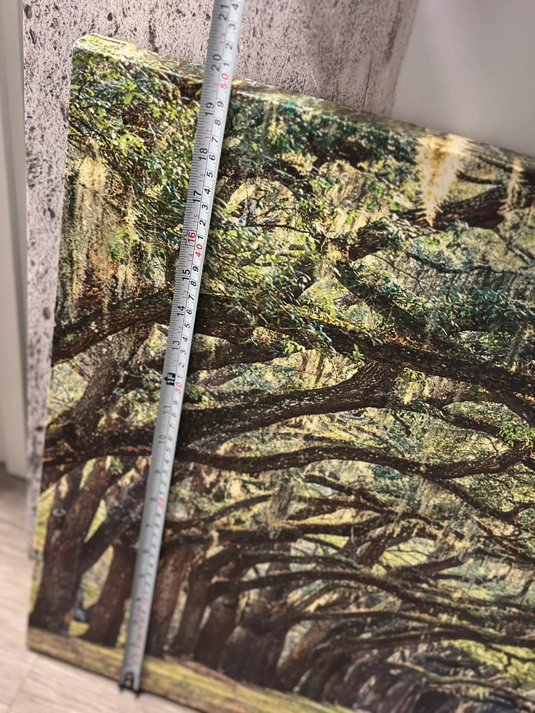 Canvas Wall Art - Oak Tree Alleyway Print image indicator(5)