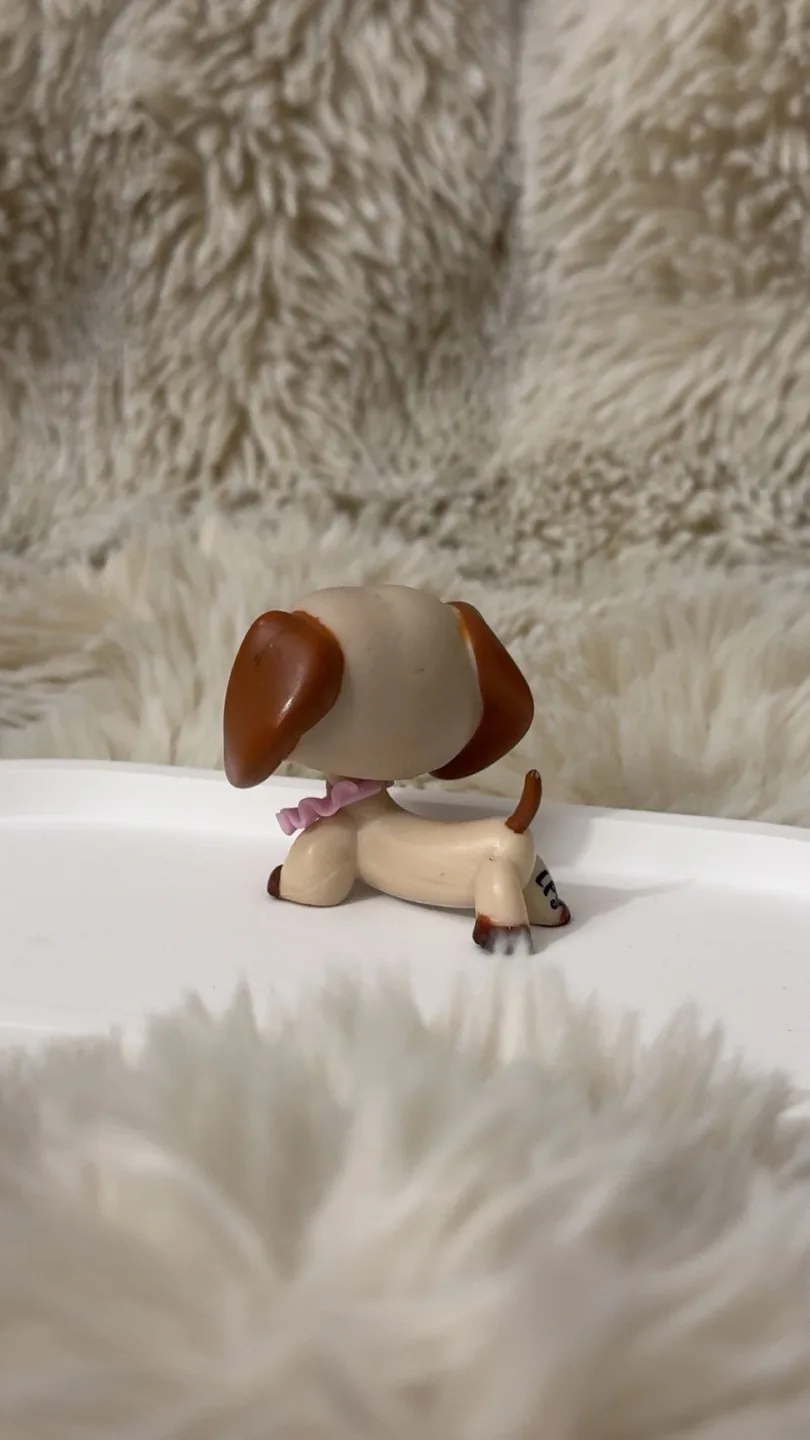 Littlest Pet Shop Dachshund #1491 (Gebraucht) in Luzern für CHF 22