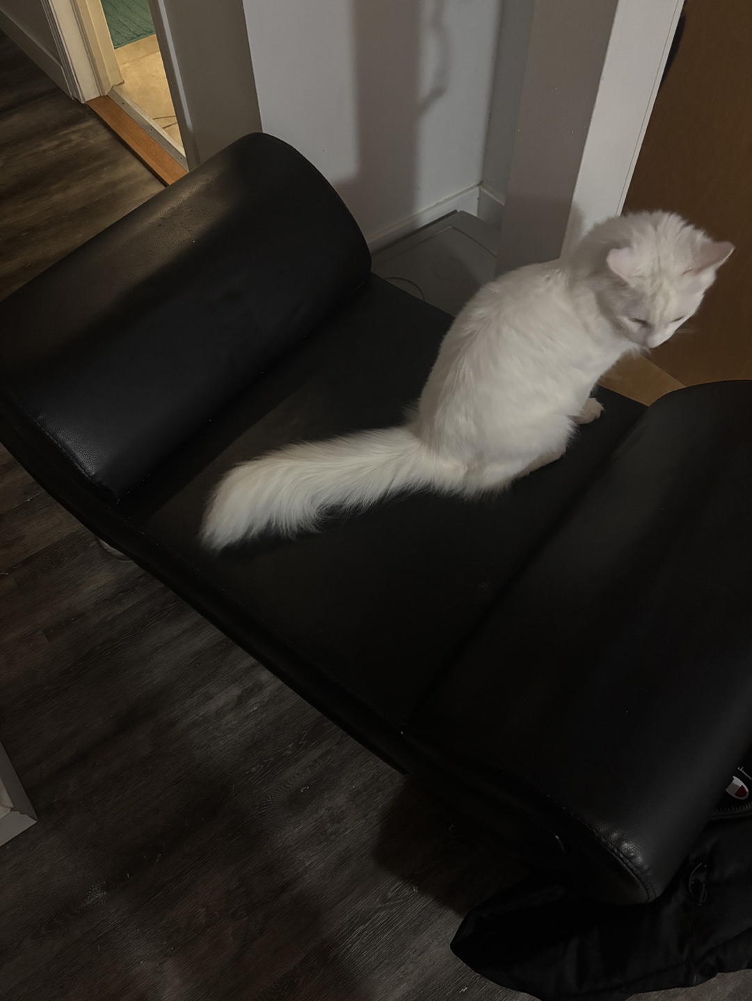 Leather ottoman - photo 3