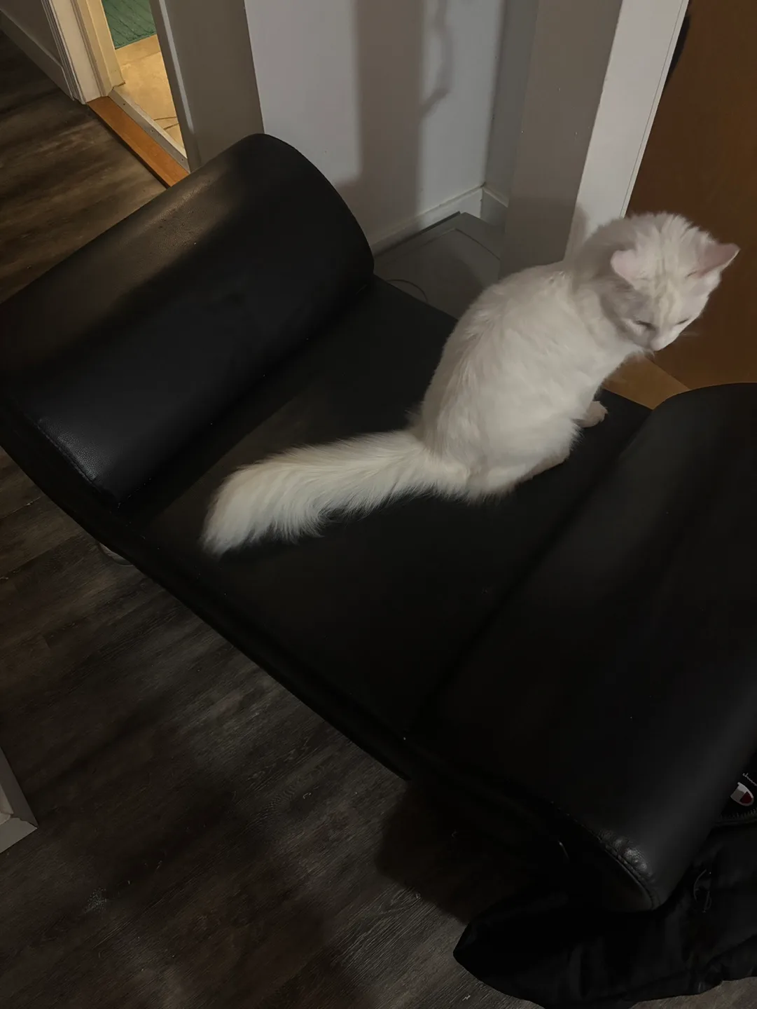 Leather ottoman image indicator(3)