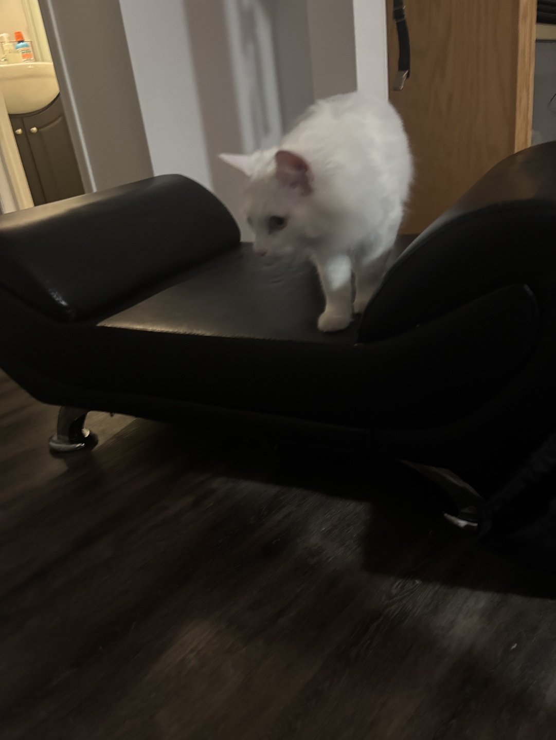 Leather ottoman