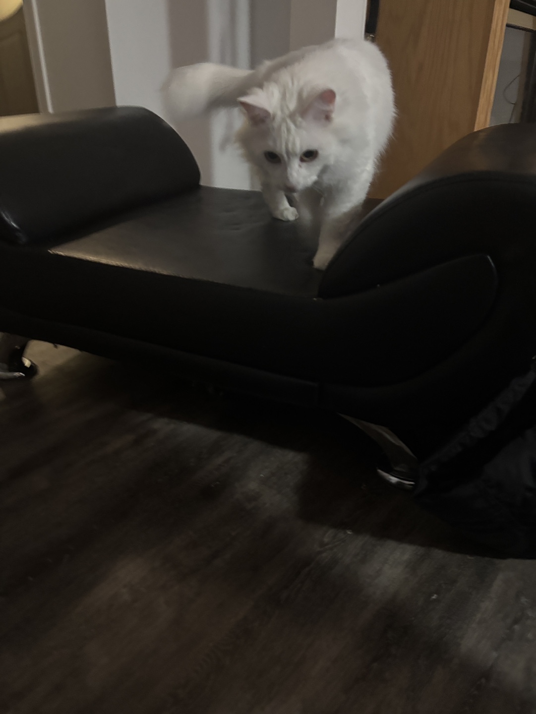 Leather ottoman - photo 2