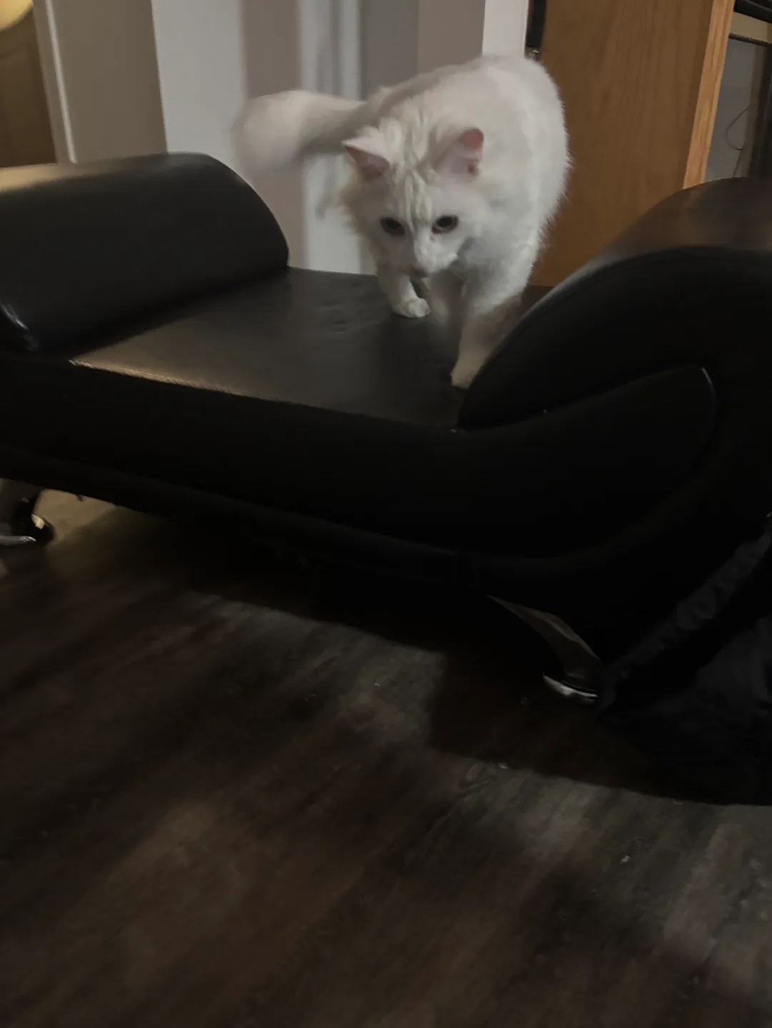 Leather ottoman image indicator(2)