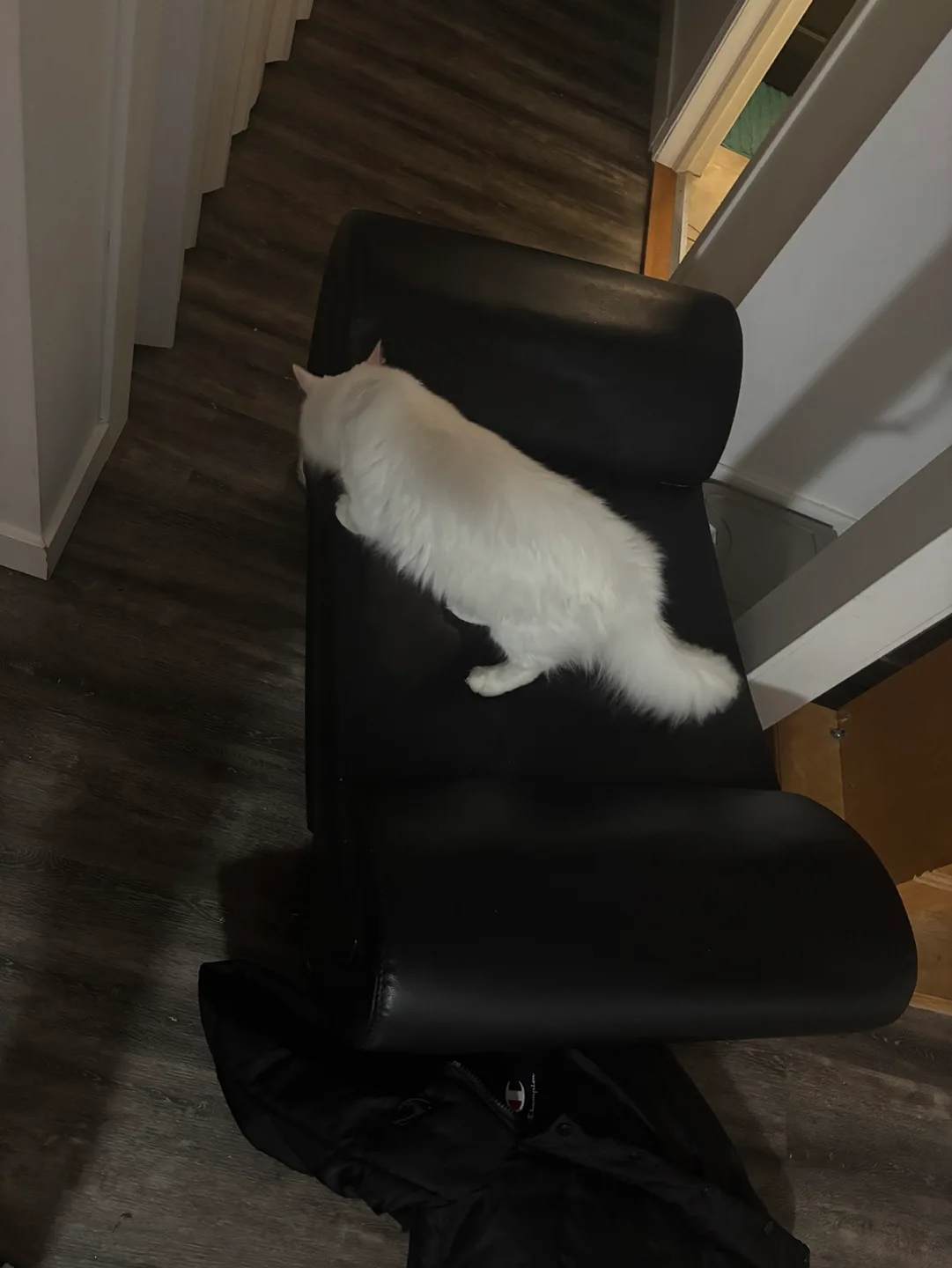 Leather ottoman image indicator(4)