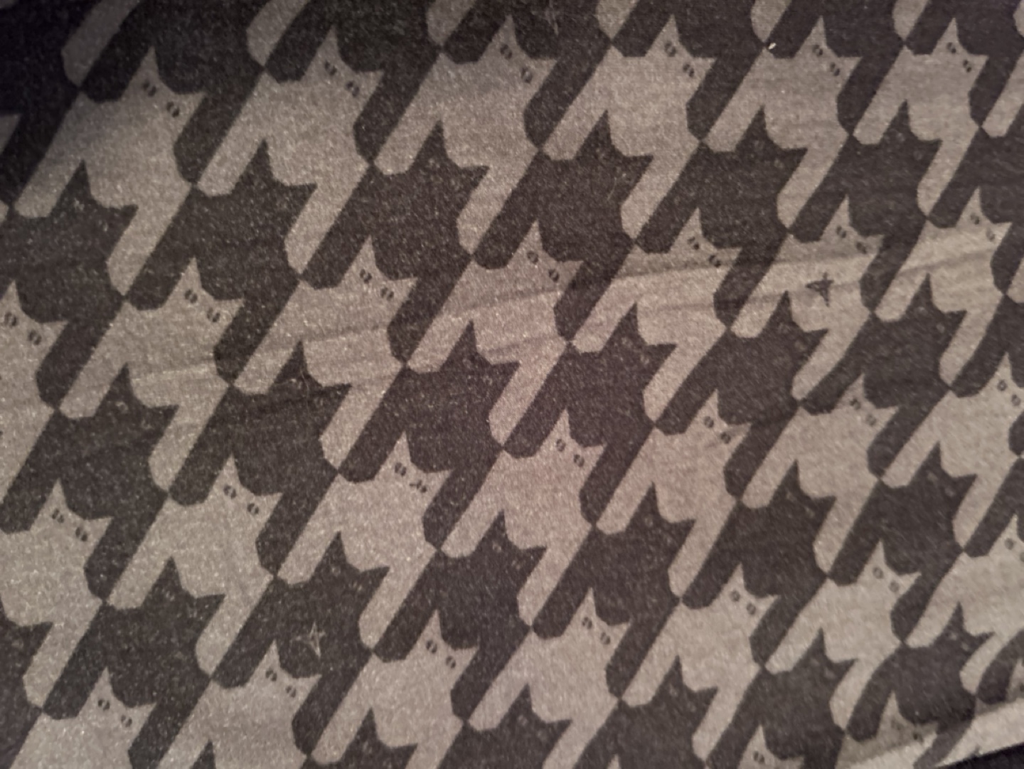 SweetLegs Leggings - One Size - photo 3