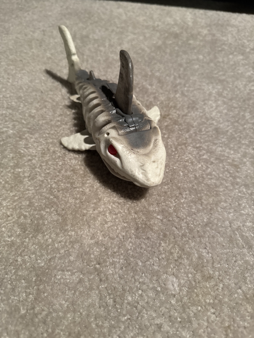 Skeleton Shark Toy