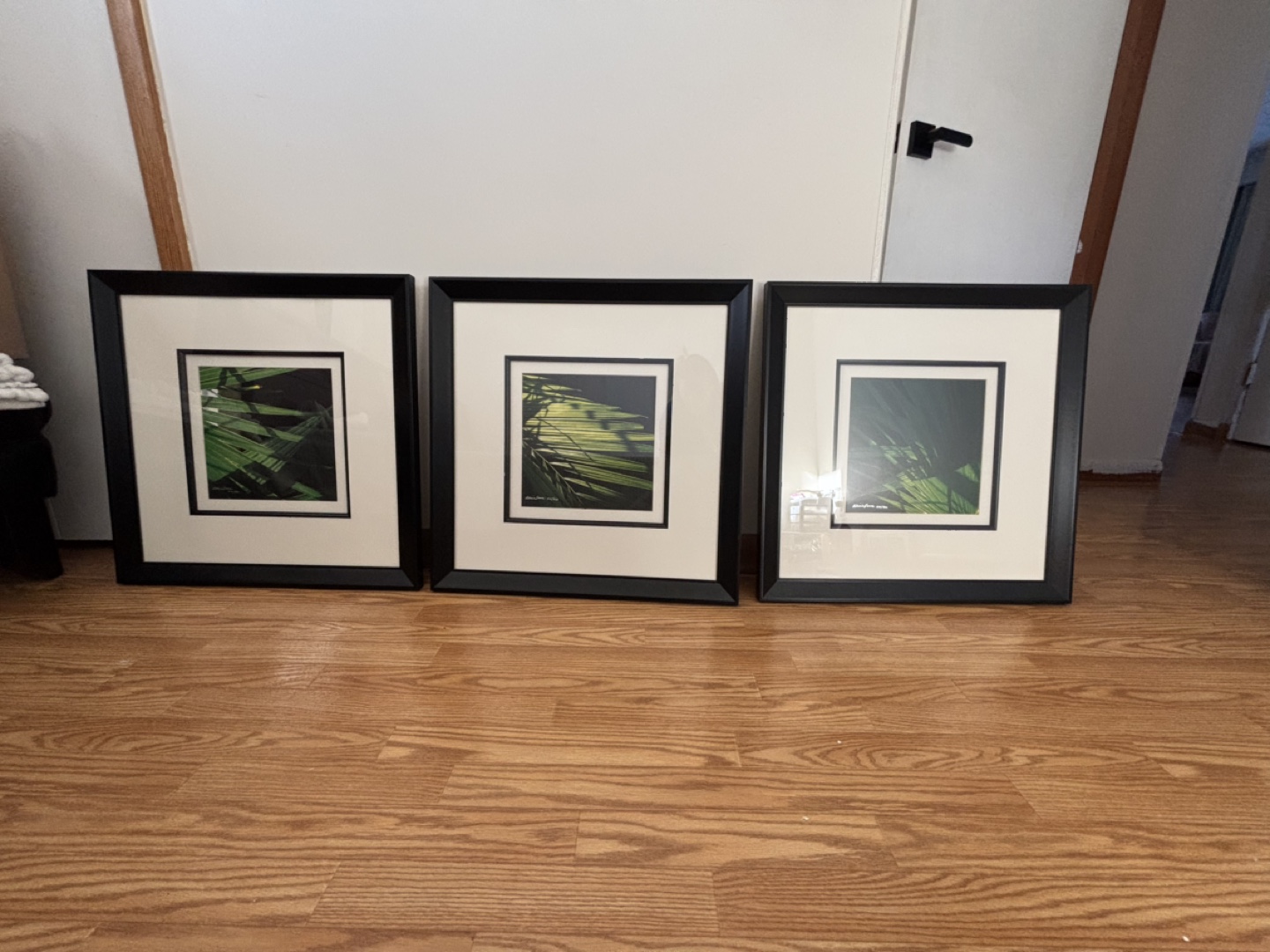 Alicia Soave Prints - Light & Shadow