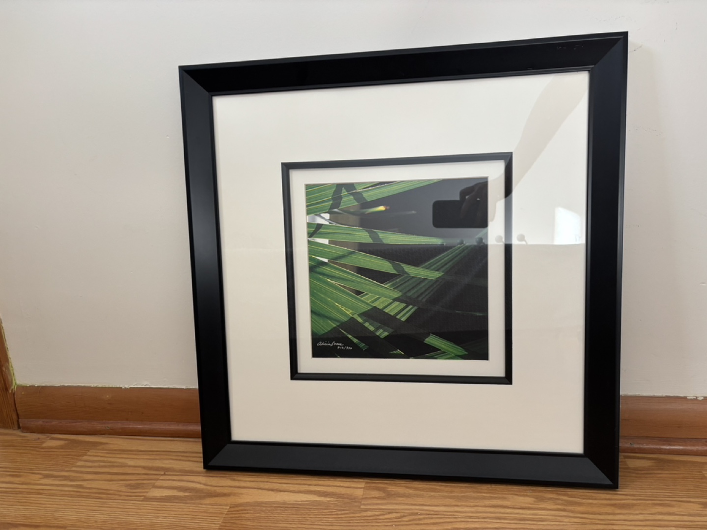 Alicia Soave Prints - Light & Shadow - photo 2