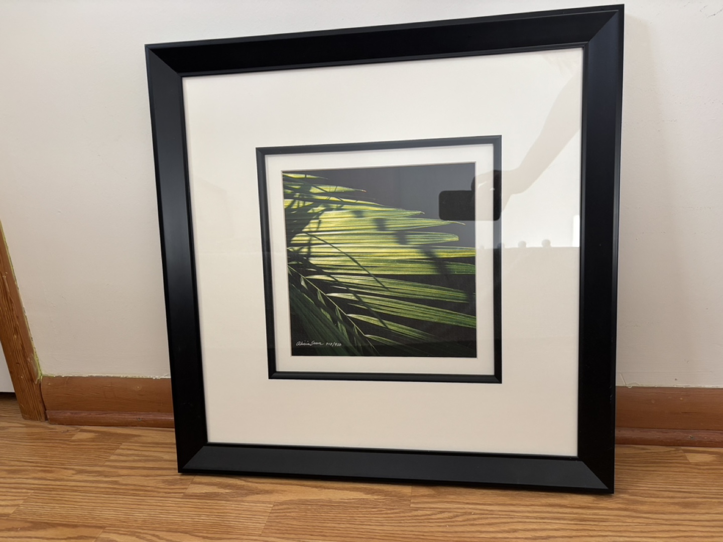 Alicia Soave Prints - Light & Shadow - photo 3