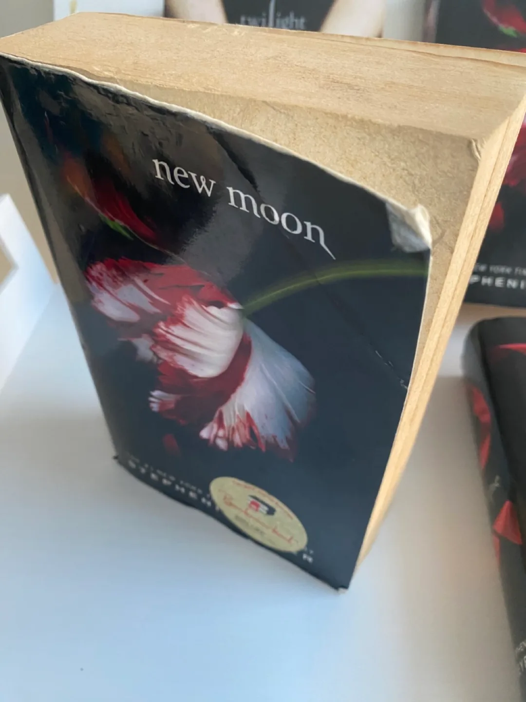 Twilight Books image indicator(3)