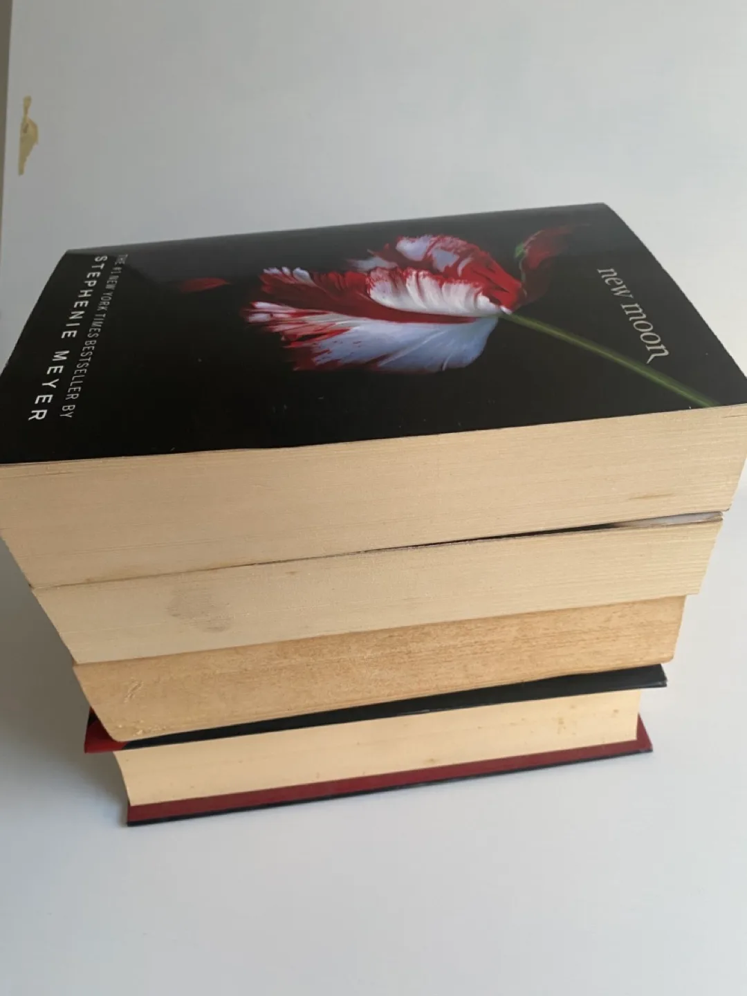 Twilight Books image indicator(5)