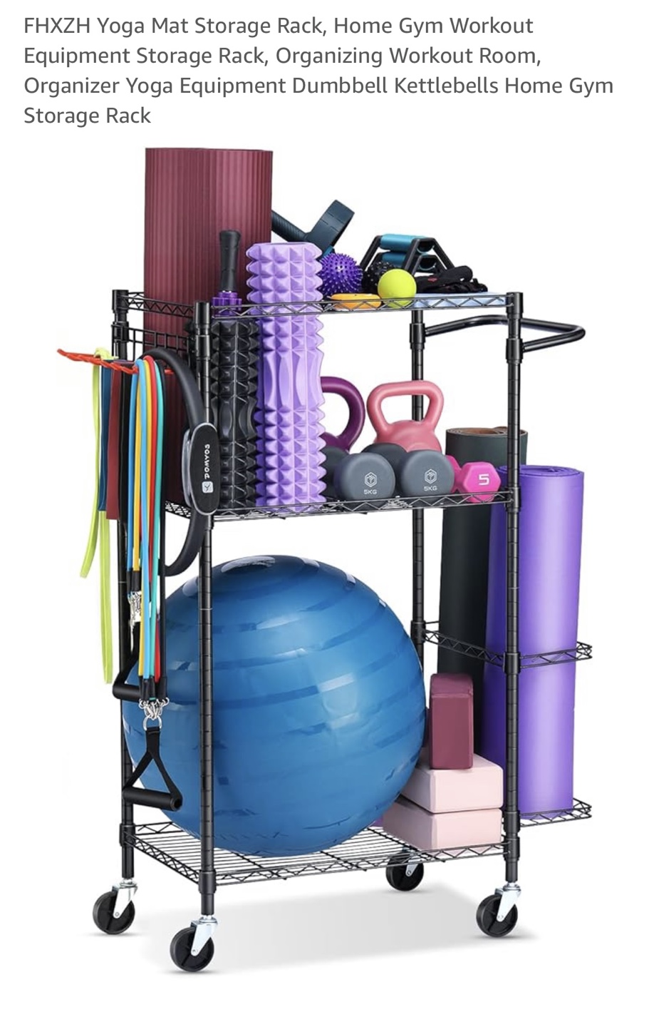 Workout Equipment Storage - photo 2