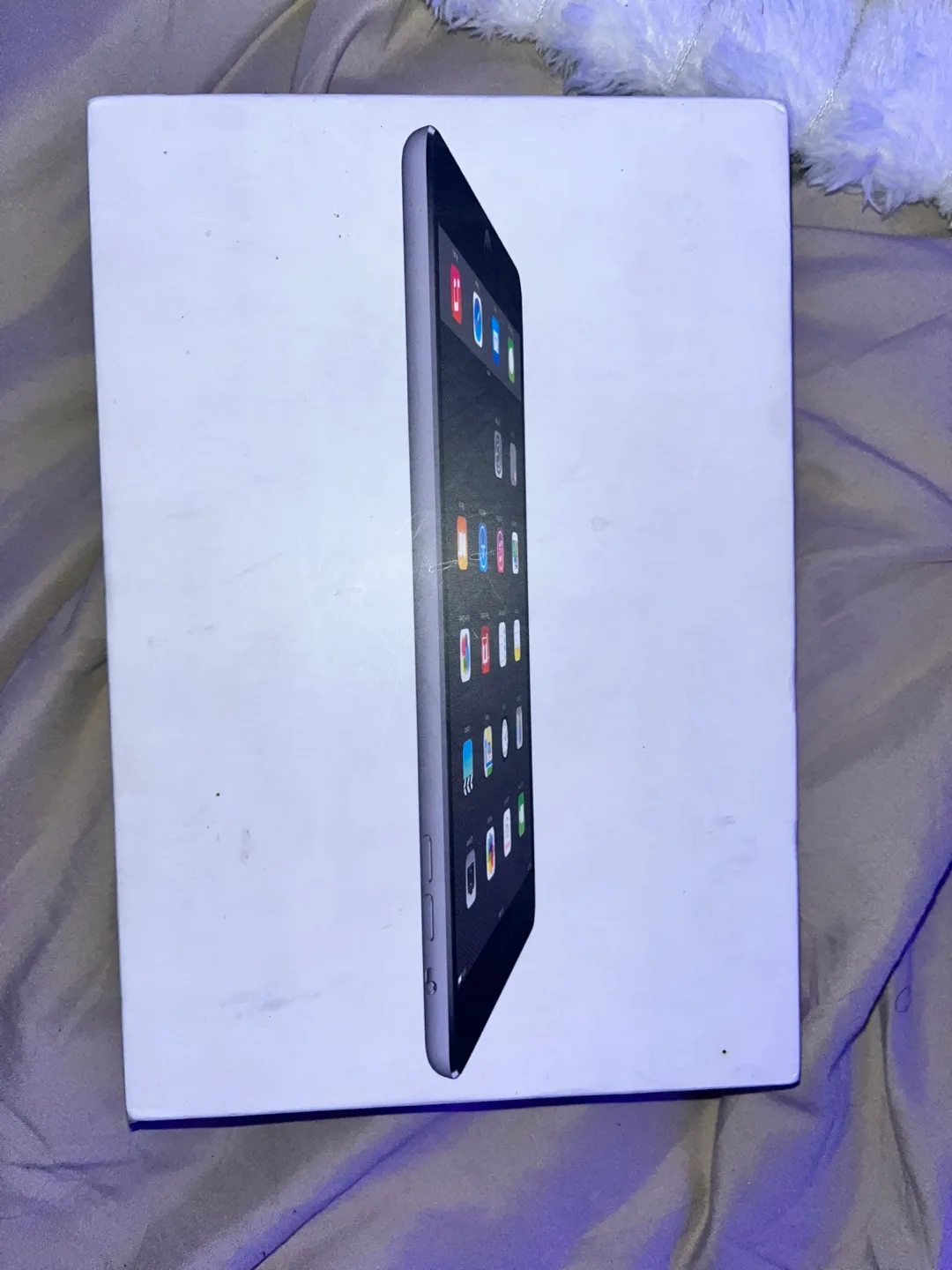 iPad Mini 2 image indicator(3)