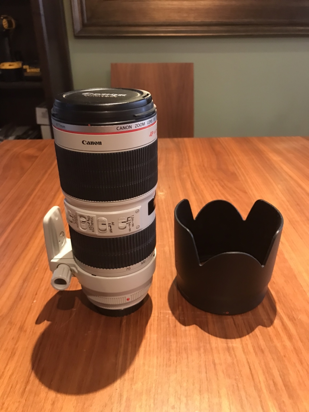 (New) Professional Canon EF 70-200mm f/2.8L IS II USM Lens