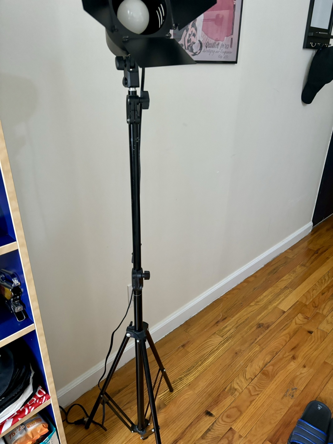 Studio Photography Light Kit with Tripod Stand