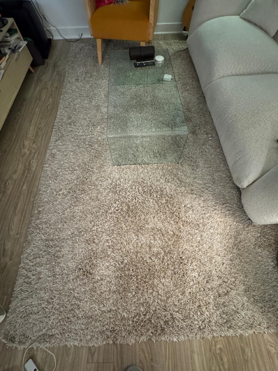 Beige Shag Rug