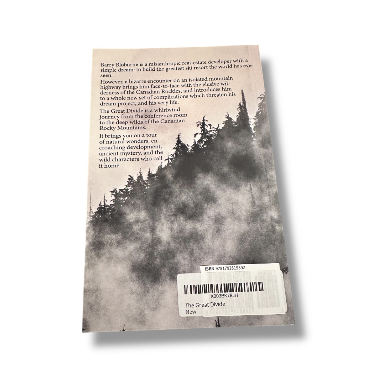 The Great Divide by Conor McCarthy - Paperback Novel - photo 3