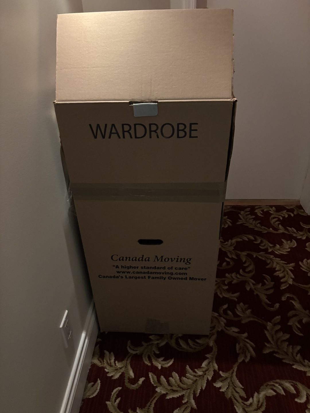 Wardrobe Moving Box