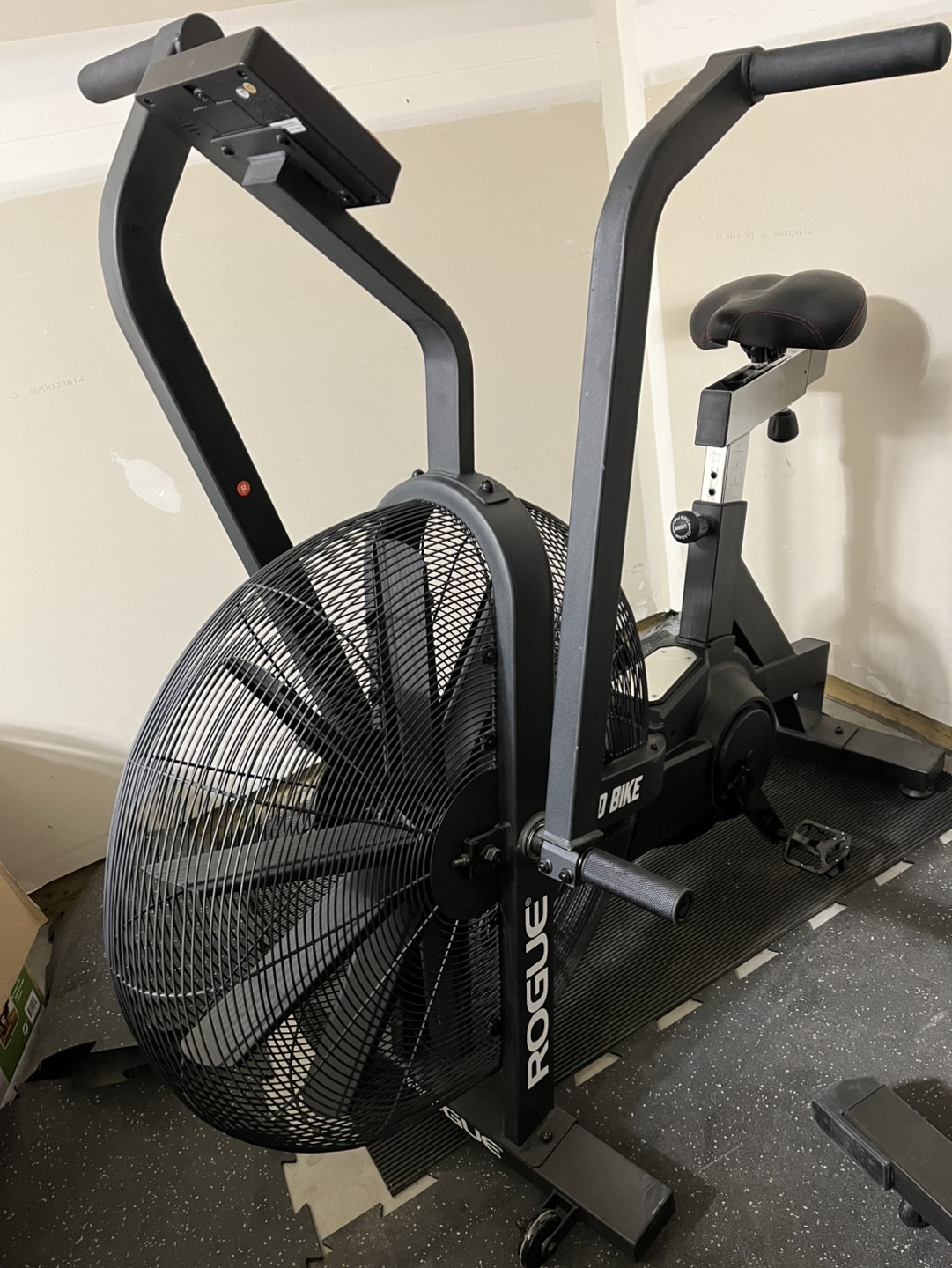 Rogue Echo Bike