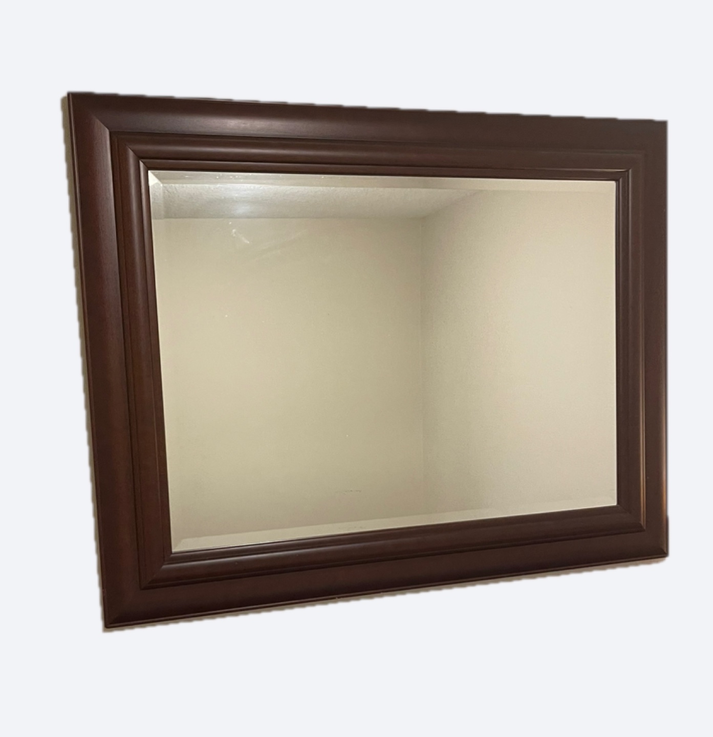 Large Dark Brown Framed Wall Mirror
