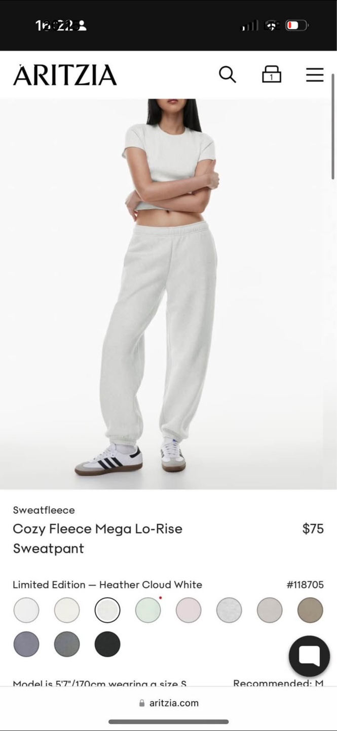 Aritzia Cozy Fleece  Sweatpants - Heather Cloud White