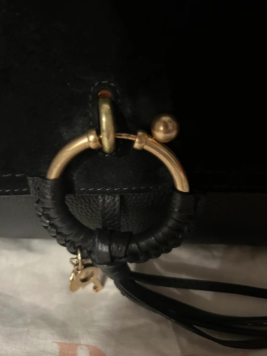 SeeByChloé Black Leather Hand Bag image indicator(3)
