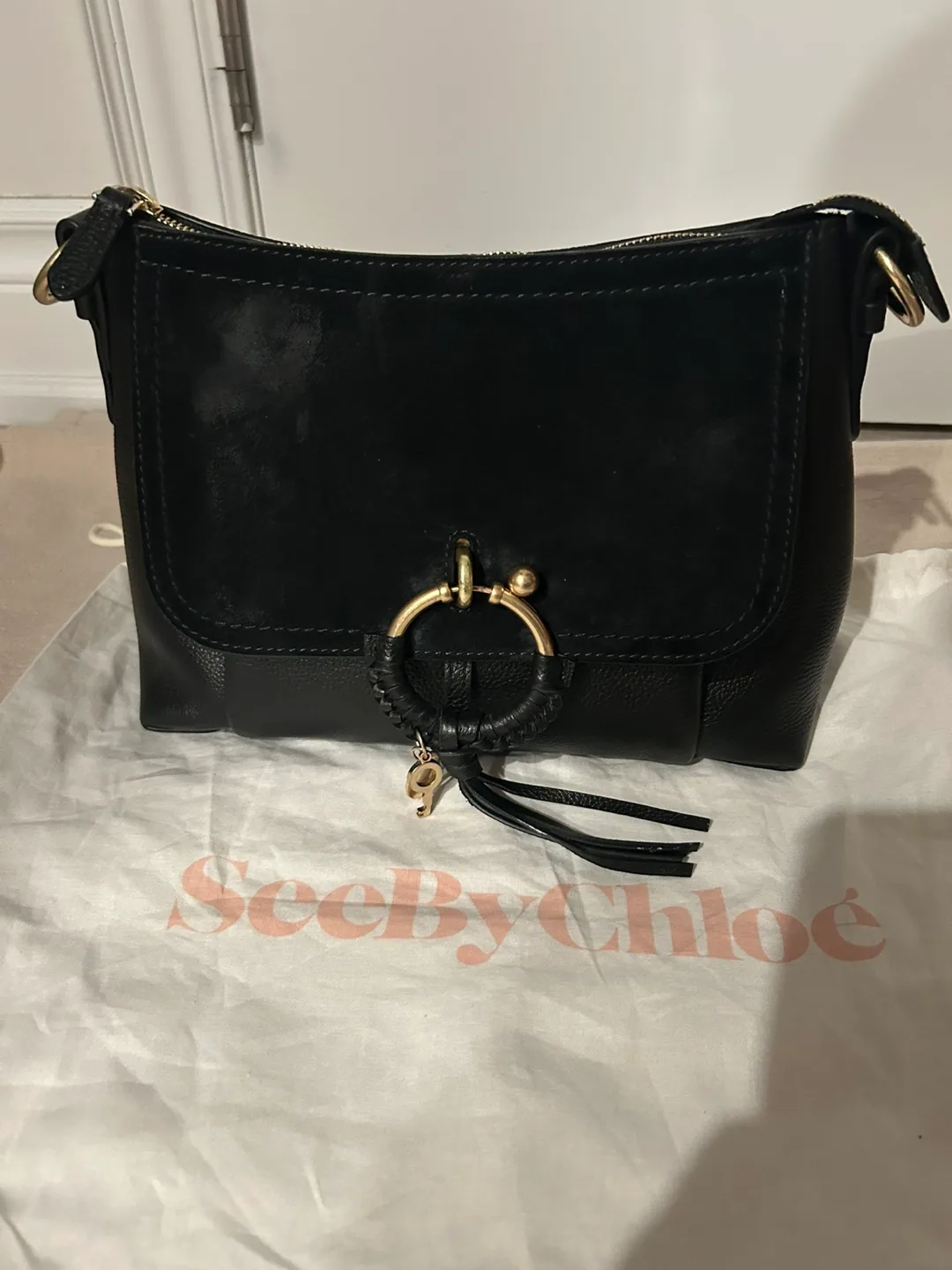 SeeByChloé Black Leather Hand Bag image indicator(2)