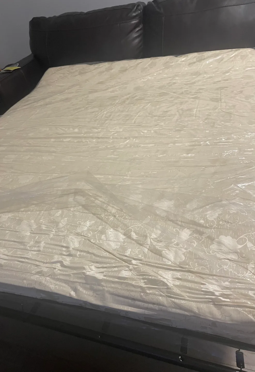 Leather Brand New-Tags on Morelos Queen Sofa-Bed image indicator(6)