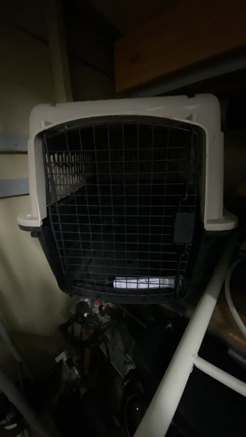 Pet Carrier - Great for Travel! image indicator(4)