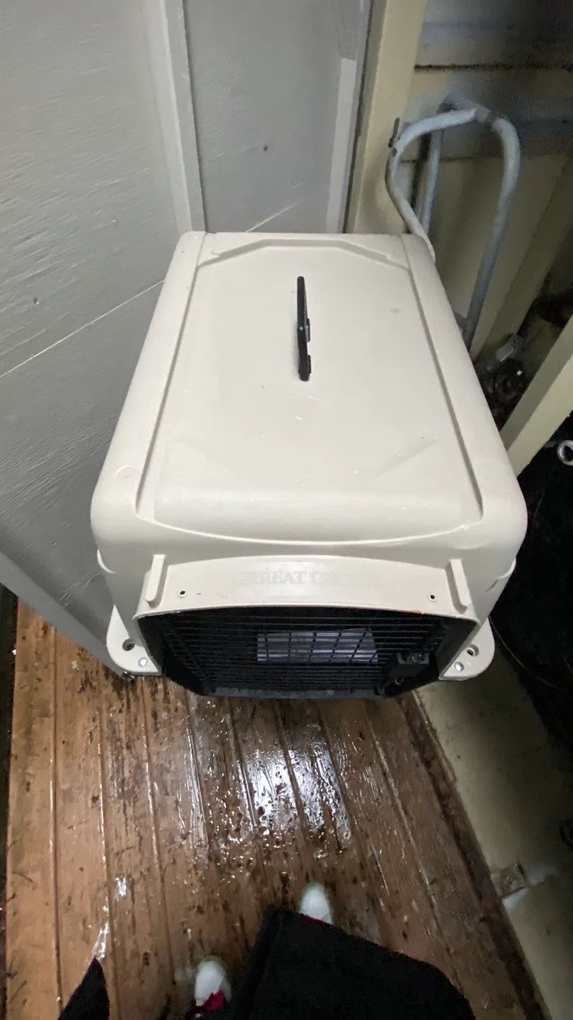 Pet Carrier - Great for Travel! image indicator(2)