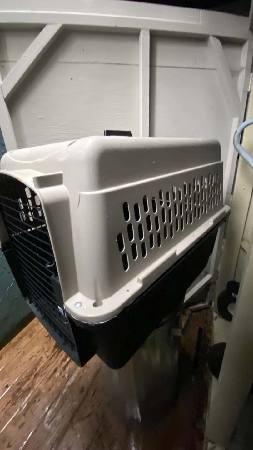 Pet Carrier - Great for Travel! image indicator(3)